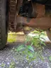 2000 Mack RD690P