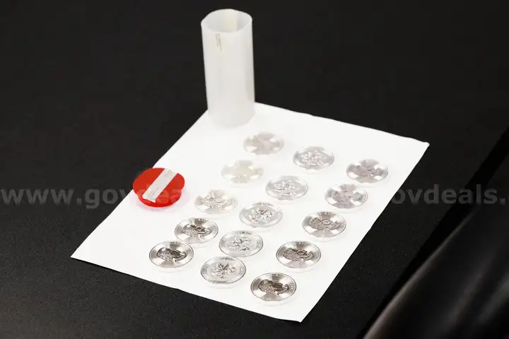 1 Lot of 300 - 1.5 oz Uncirculated Silver Canadian SuperLeaf Coins