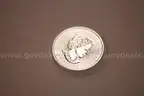 1 Lot of 300 - 1.5 oz Uncirculated Silver Canadian SuperLeaf Coins