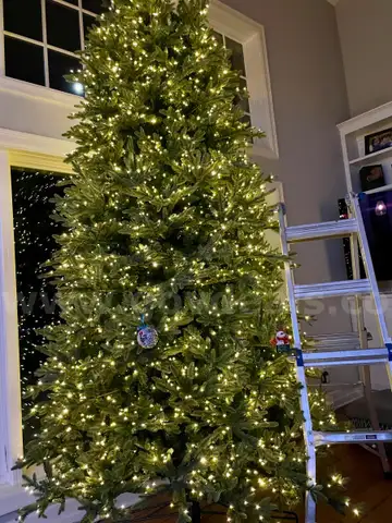 12 Foot Holiday Christmas Tree and Red Poinsettia Wreath