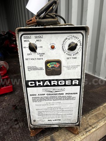 Silver Beauty Battery Charger