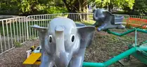 Elephant Ride