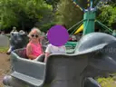 Elephant Ride
