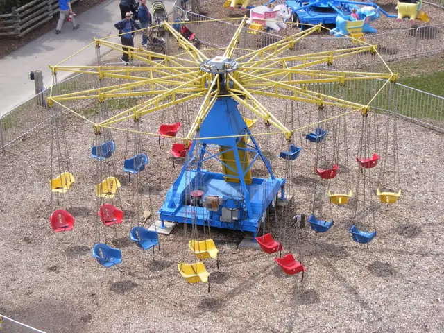 Swings Ride