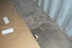 Cargo Container