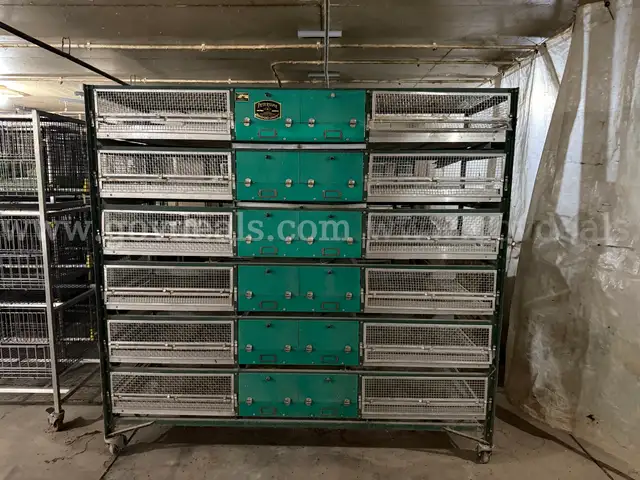 Petersime Chick Brooder