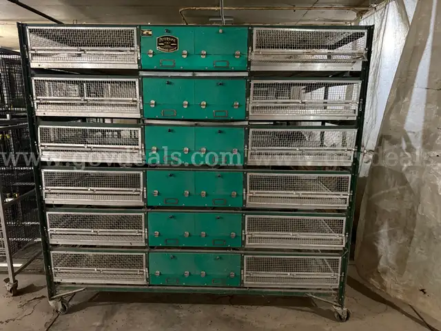 Petersime Chick Brooder