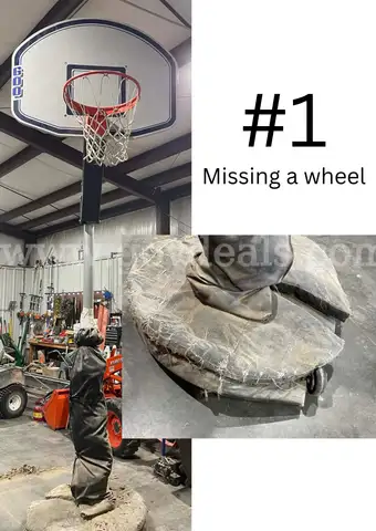 Bison Basketball Goal #1