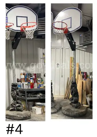 Bison Basketball Goal #4