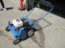 Bluebird Seeder