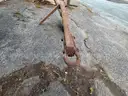 Syracuse Chilled Plow  SEE VIDEO!