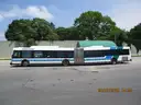 2011 New Flyer Transit Bus