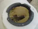 Lot of Tanks