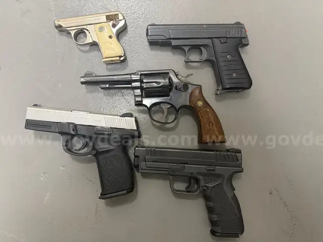 Lot of Firearms (1)
