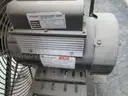 Lot of Fans