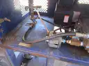 Pressure Washer