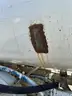 2001 GMC 8500 Flusher Truck
