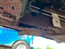 2008 Chevrolet Silverado 1500 LS Crew Cab 4WD