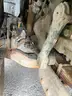 2015 Mack GU713