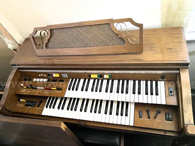 Organ