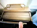 Organ