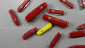 Victorinox Swiss Army Style Pocket Knives - Shipping Fee $13