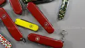 Swiss Army Style Pocket Knives - Shipping Fee $13
