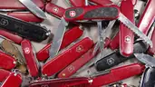Swiss Army Style Pocket Knives - Shipping Fee $20