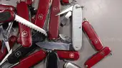 Swiss Army Style Pocket Knives - Shipping Fee $20