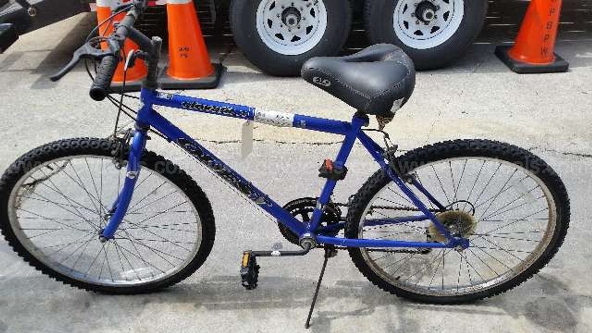 quest mountain bike price