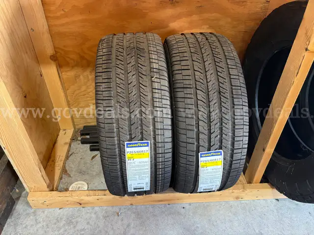 Matching Set of Two Goodyear Eagle RS-A Police Tires