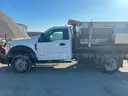 2017 Ford F-550