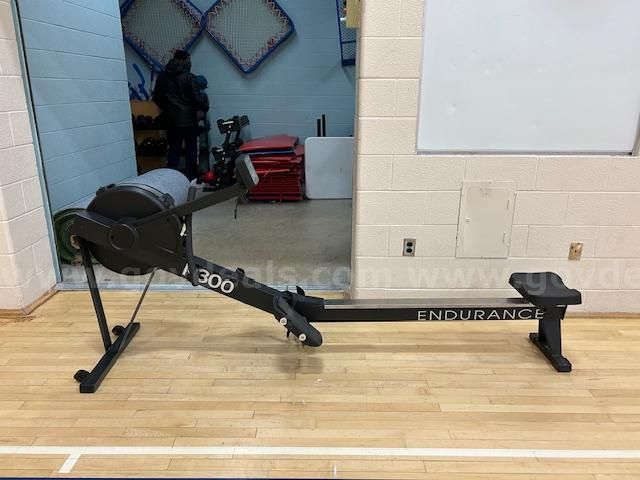 Endurance discount 300 rower