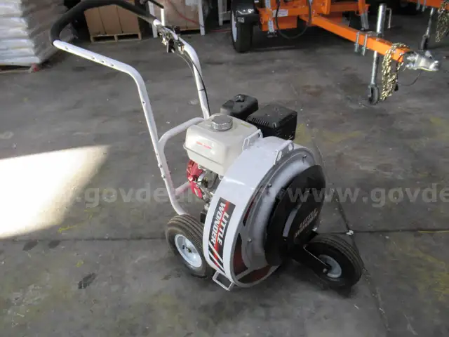 2020 Little Wonder Blower
