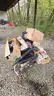 1 LOT of Miscellaneous Scrap Metal