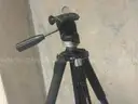 Lot of Manfrotto Tripods (most with tilt heads)