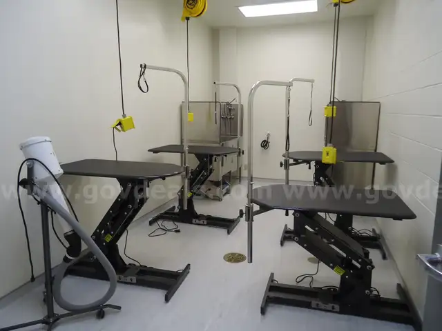Elite Groom Hydraulique Table
