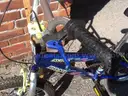 SCHWINN, YOUTH BIKE , BLUE AVICO ROAD HEAT(AUC427)