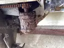 SALT DOG SPREADER BY BUYERS (AUC550)