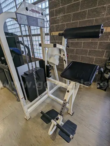 Life Fitness Low Back Extension