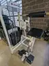 Life Fitness Low Back Extension