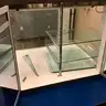 Food Display + Counter - G2523802