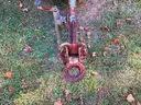 1994 Sullair 185 CFM Tow Behind Air Compressor