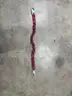 Shock-Absorbing Lanyard