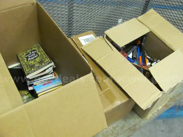 BOOKS AND TOY LOT (GD4094)