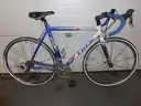 TREK ROAD BIKE (GD4160)