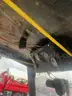 Hustler Mower with snow blade and cab