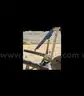 OTC Hoist - 2,200 pound capacity
