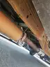 1997 Ford F-250
