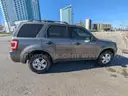 2010 Ford Escape